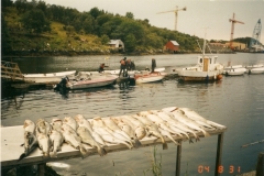 Norsko 2004