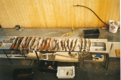Norsko 2005