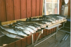 Norsko 2006