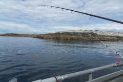1526