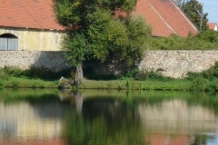 Rybník Mirešák v létě