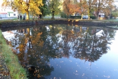 Výlov 13.10.2012